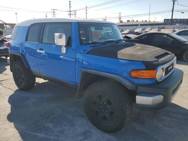 2007 Toyota FJ Cruiser