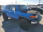 2007 Toyota FJ Cruiser