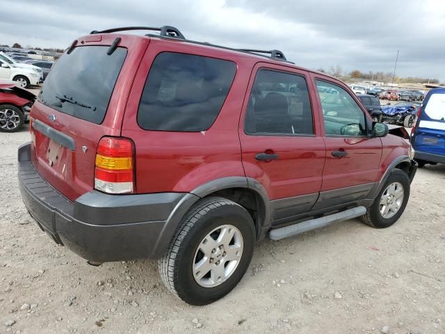 2006 Ford Escape XLT