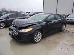 Salvage cars for sale at Lawrenceburg, KY auction: 2019 Ford Fusion SE