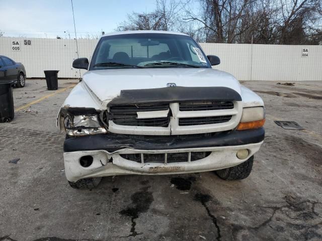 2000 Dodge Dakota Quattro