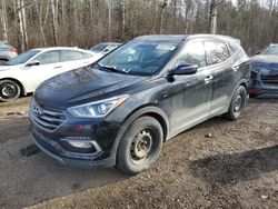 Hyundai Santa fe Sport salvage cars for sale: 2017 Hyundai Santa FE Sport