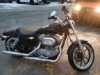 2011 Harley-Davidson XL883 L