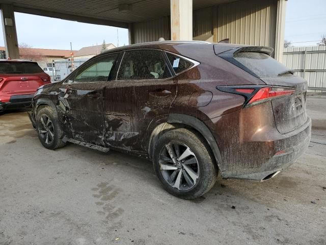 2019 Lexus NX 300 Base