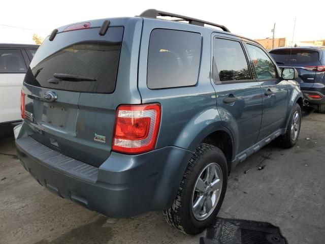 2011 Ford Escape XLT