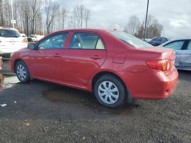 2010 Toyota Corolla Base