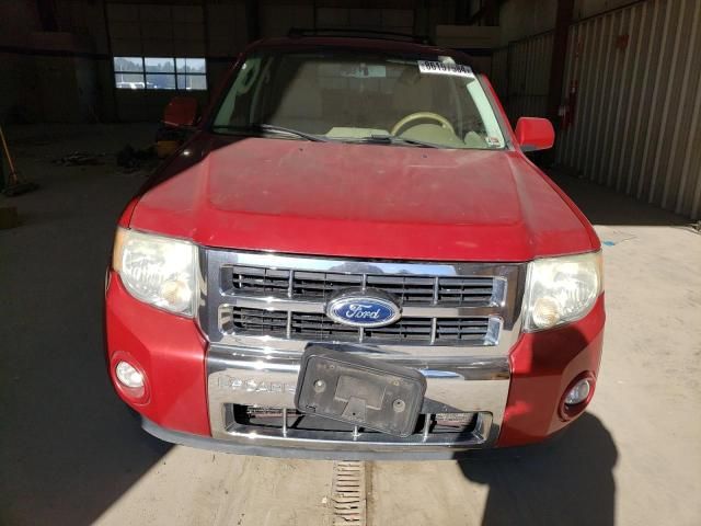 2011 Ford Escape Limited