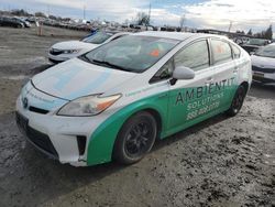 Salvage cars for sale at Eugene, OR auction: 2013 Toyota Prius