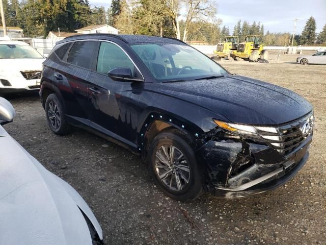 2024 Hyundai Tucson Blue