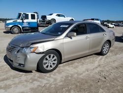 Toyota Vehiculos salvage en venta: 2007 Toyota Camry CE