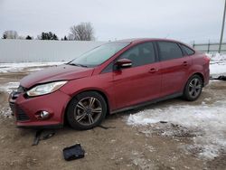 Ford Focus se salvage cars for sale: 2014 Ford Focus SE