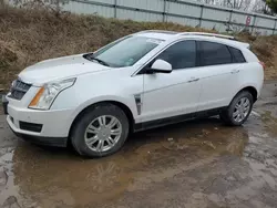 Cadillac Vehiculos salvage en venta: 2010 Cadillac SRX Luxury Collection