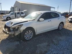 Honda Accord exl salvage cars for sale: 2012 Honda Accord EXL