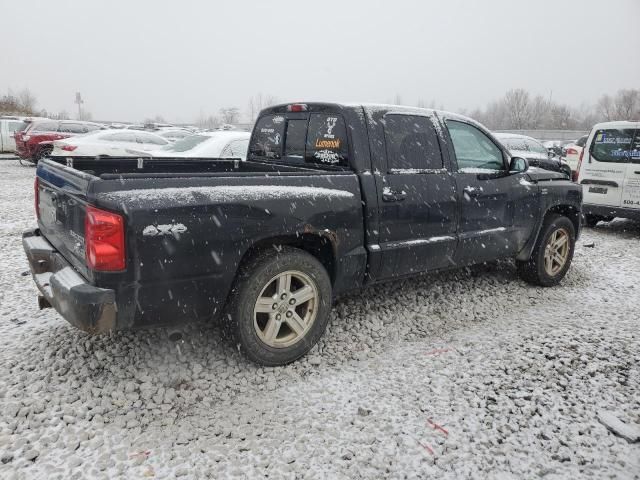 2011 Dodge Dakota SLT