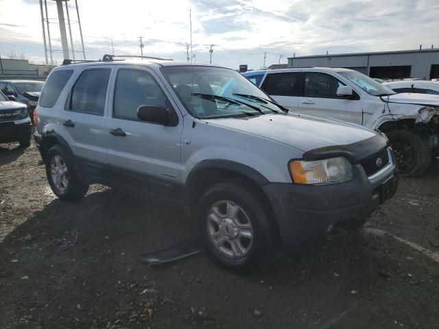 2002 Ford Escape XLT