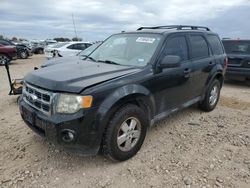 2012 Ford Escape XLT en venta en San Antonio, TX