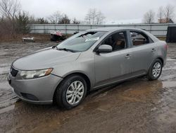 Salvage Cars with No Bids Yet For Sale at auction: 2012 KIA Forte EX