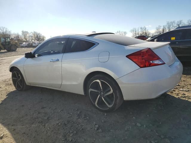 2011 Honda Accord EXL