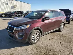 Salvage cars for sale at Tucson, AZ auction: 2017 KIA Sorento LX