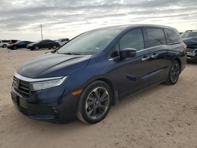 2022 Honda Odyssey Elite