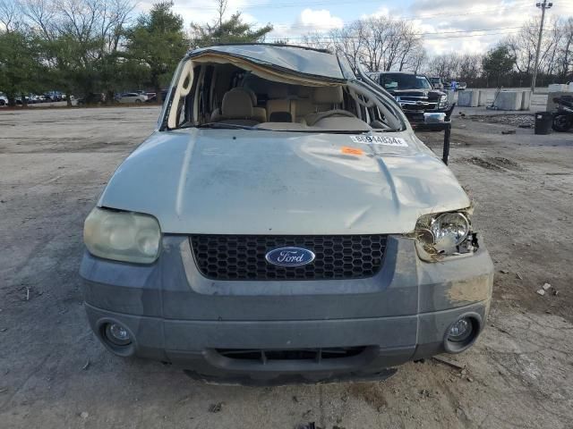 2005 Ford Escape XLT