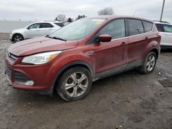 Ford salvage cars for sale: 2015 Ford Escape SE