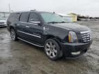 2008 Cadillac Escalade ESV