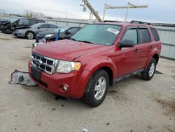 Ford salvage cars for sale: 2011 Ford Escape XLT