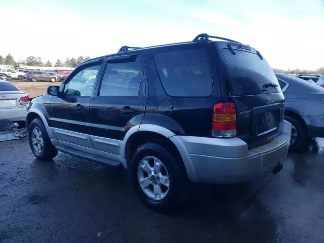 2007 Ford Escape XLT