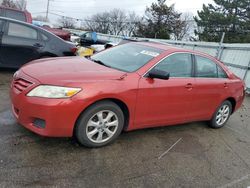 Salvage cars for sale at Moraine, OH auction: 2010 Toyota Camry Base