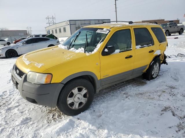 2002 Ford Escape XLT