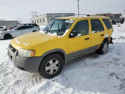 2002 Ford Escape XLT en venta en Bismarck, ND