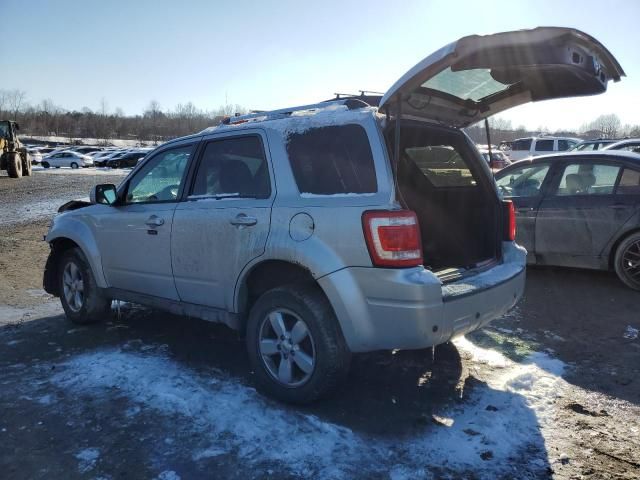 2009 Ford Escape Limited