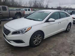 Salvage cars for sale at Leroy, NY auction: 2016 Hyundai Sonata SE