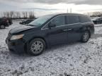 2013 Honda Odyssey EX