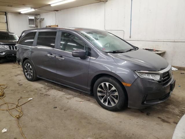 2022 Honda Odyssey EXL