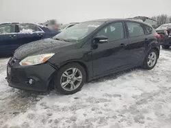 Salvage cars for sale at Wayland, MI auction: 2014 Ford Focus SE