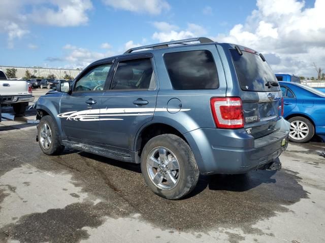 2010 Ford Escape Limited