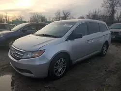 Salvage cars for sale at Baltimore, MD auction: 2012 Honda Odyssey EX