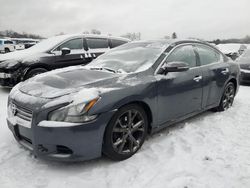 Nissan Vehiculos salvage en venta: 2013 Nissan Maxima S