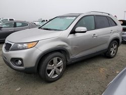 Salvage Cars with No Bids Yet For Sale at auction: 2013 KIA Sorento EX