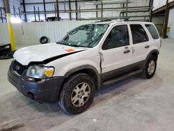 Salvage cars for sale at Lawrenceburg, KY auction: 2006 Ford Escape XLT