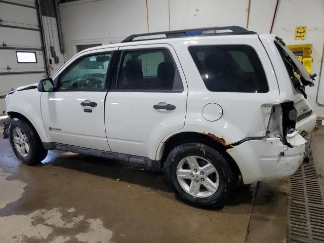 2010 Ford Escape Hybrid