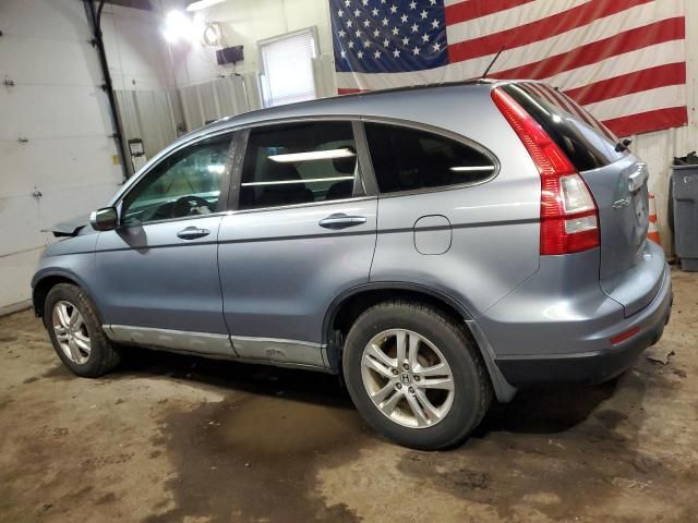 2010 Honda CR-V EXL