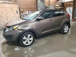 Salvage cars for sale at Ebensburg, PA auction: 2013 KIA Sportage LX