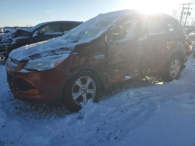 2014 Ford Escape S