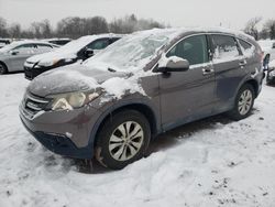 Salvage cars for sale from Copart Chalfont, PA: 2014 Honda CR-V EXL