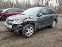 Salvage cars for sale at Cookstown, ON auction: 2011 Honda CR-V EXL