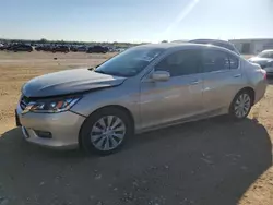 Salvage cars for sale at San Antonio, TX auction: 2014 Honda Accord EXL