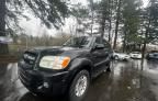 2006 Toyota Sequoia SR5